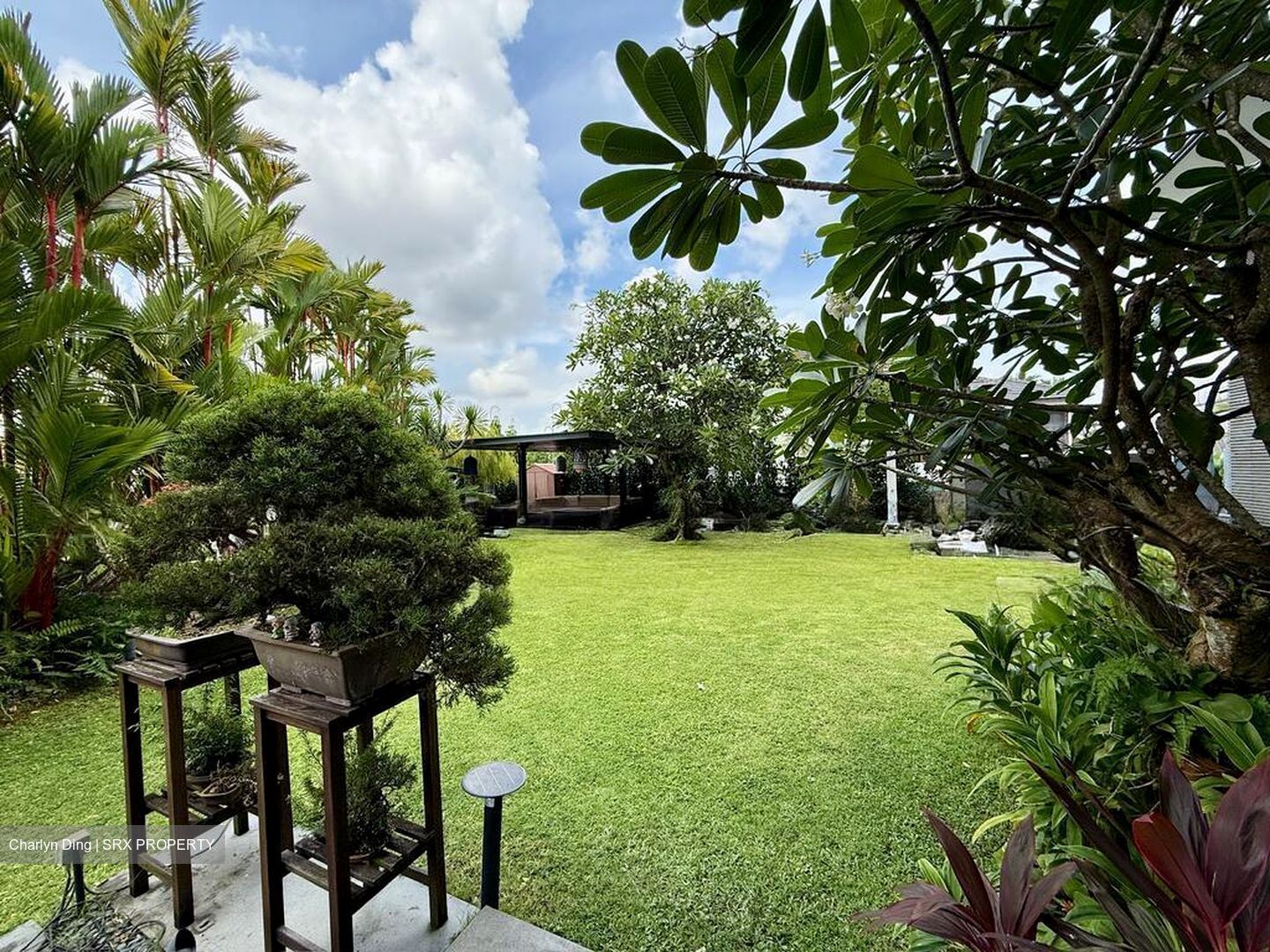 Braddell Heights Estate (D19), Detached #569639801